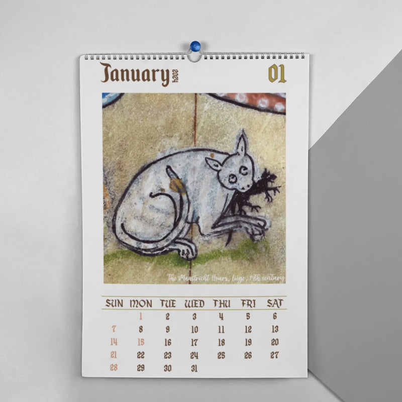 2025 / 2024 Weird Medieval Cats Calendar
