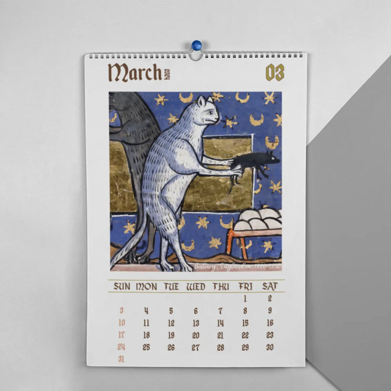 2025 / 2024 Weird Medieval Cats Calendar