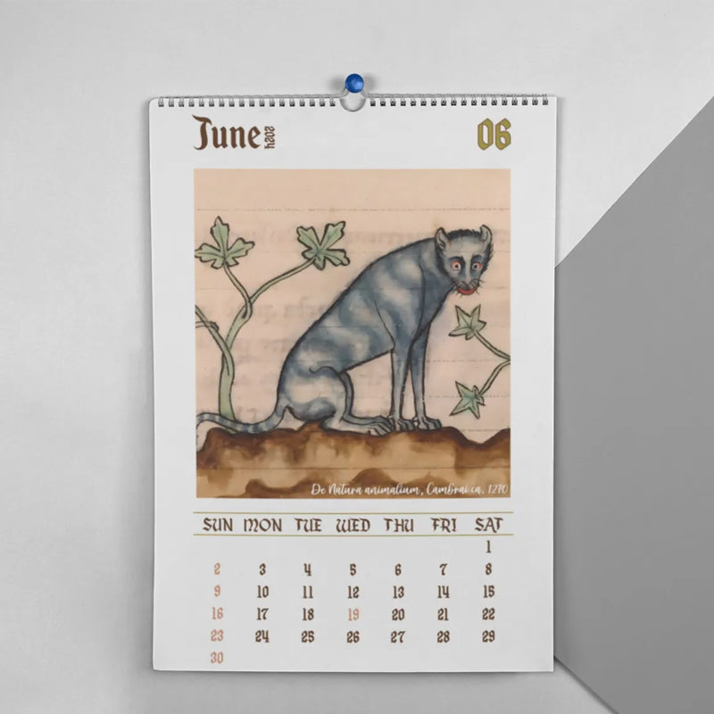 2025 / 2024 Weird Medieval Cats Calendar